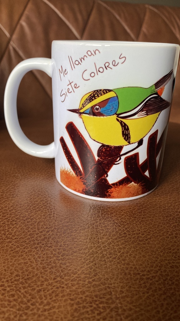 [Tazón con ilustración ave Siete Colores] Tazón Siete Colores