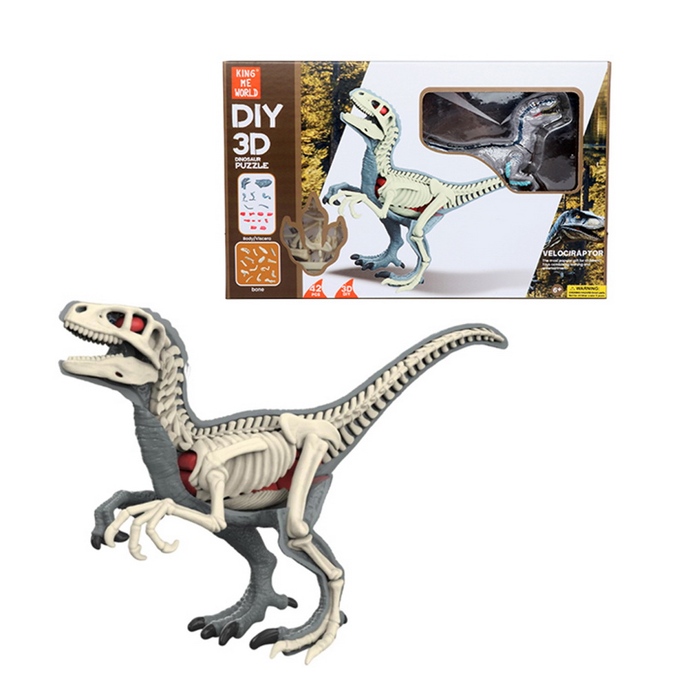 KIT ANATOMIA EDUCACIONAL DINO
